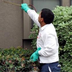 RESIDENTIAL AND COMMERCIAL PEST CONTROL SERVICES