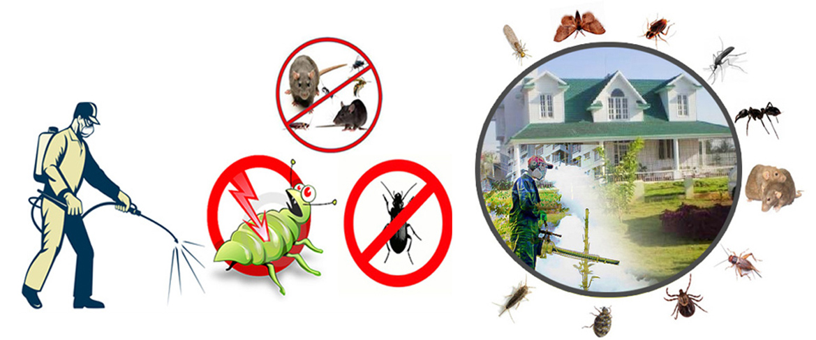 RESIDENTIAL AND COMMERCIAL PEST CONTROL SERVICES